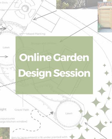 The Online Garden Design Session (60 mins x 2)