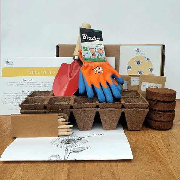 The Children's Garden Activity Kit Gift Set- With Seeds, Tools, fun facts and lots more