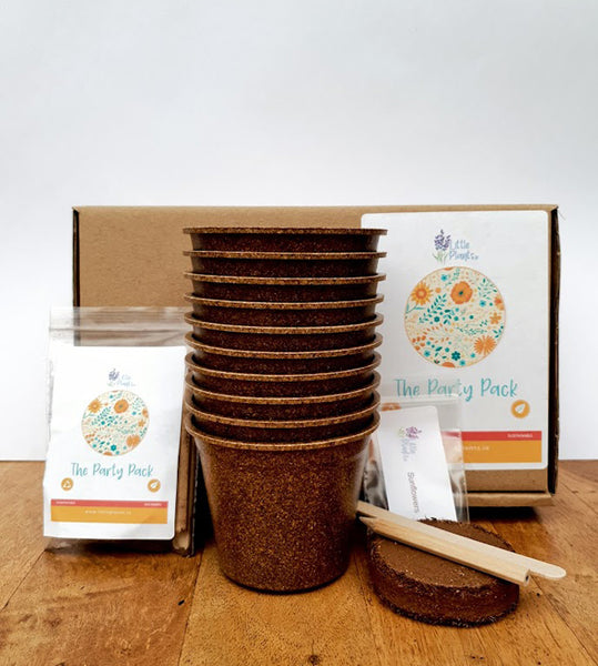 NEW!! The Children's Party Pack Biodegradable and Plastic Free Seed Growing Multi Packs - Let's Grow Together!