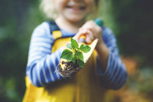 5 Great Starter Seeds For Children This Midterm and growing tips!