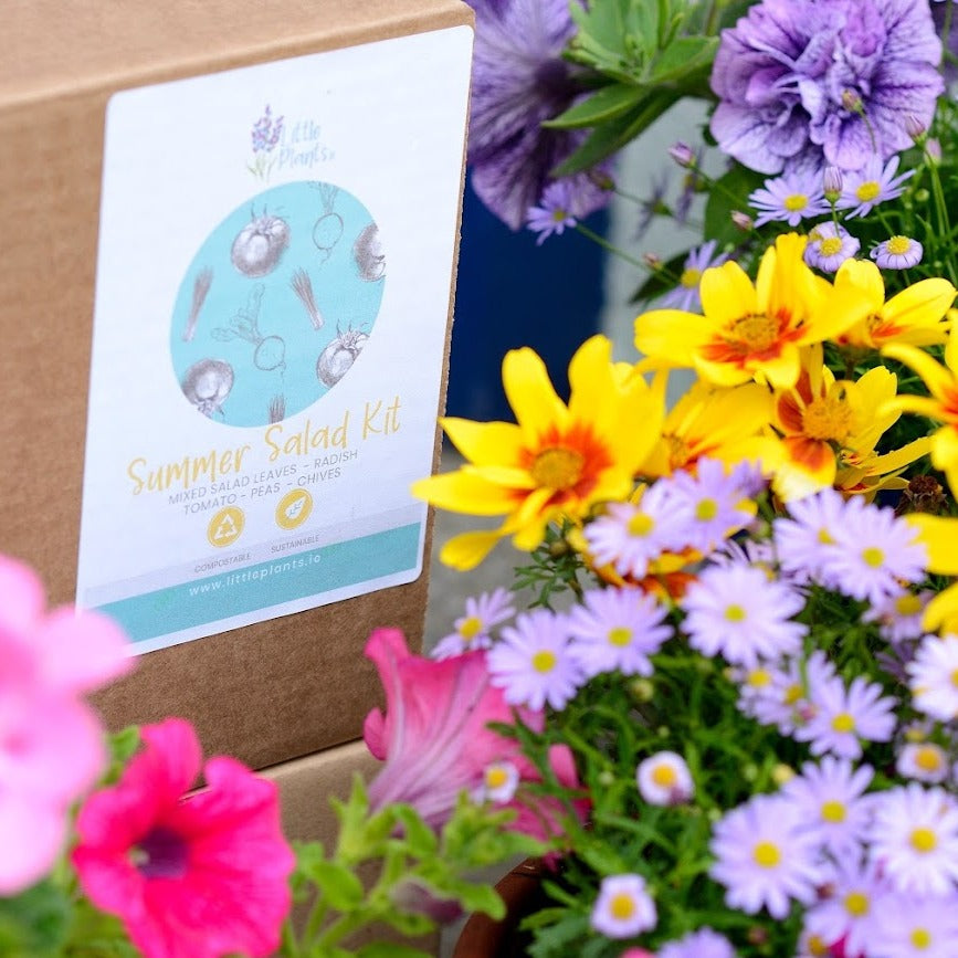 The Summer Salad - Plastic Free Seed Kit