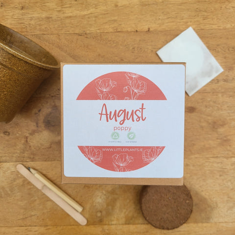 The Birth Month Flower Seed Kit August Poppy