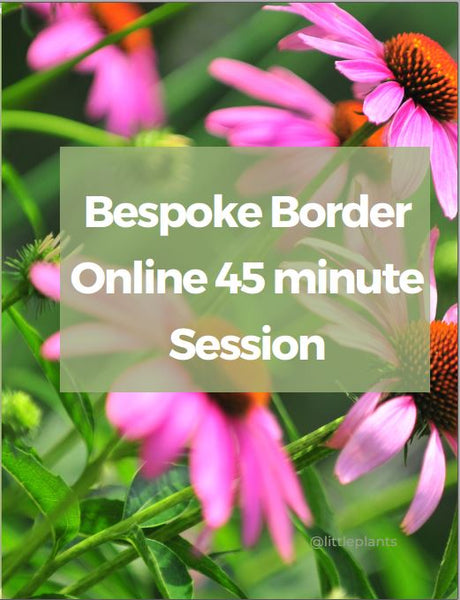 Gift A Bespoke Border Online 45 minute Garden Design Session Downloadable Gift Voucher