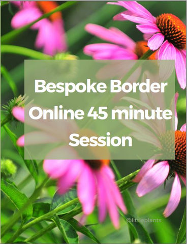 Bespoke Border Online 45 minute Session
