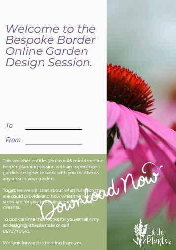 Gift A Bespoke Border Online 45 minute Garden Design Session Downloadable Gift Voucher
