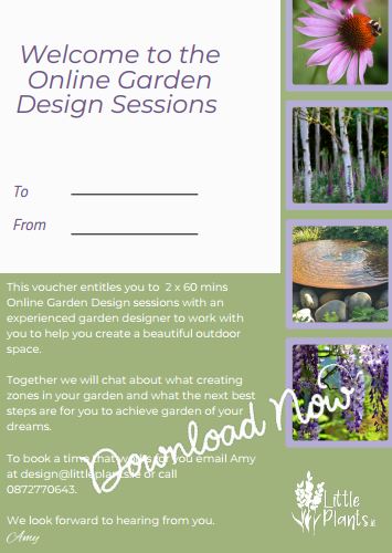 Gift A Online Garden Design Session (60 mins x 2) Downloadable Gift Voucher