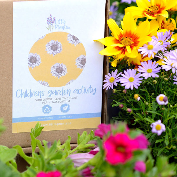 The Children's Garden Activity Kit Gift Set- With Seeds, Tools, fun facts and lots more