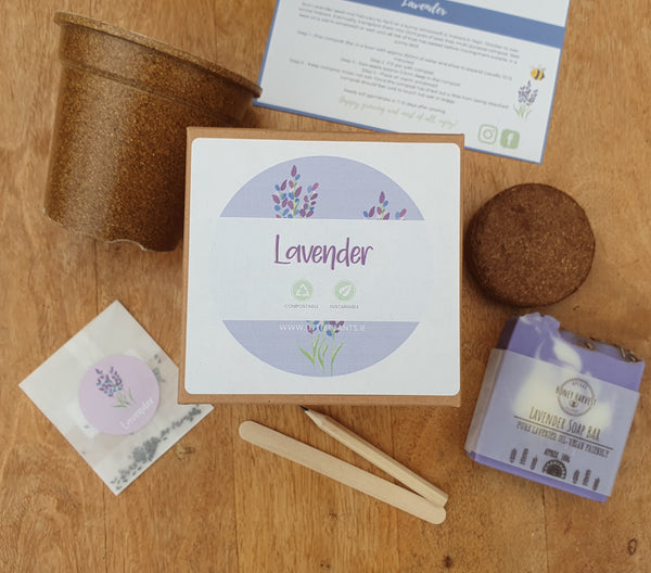Lavender Gift Pack - Lavender Growing Kit & Handmade Lavender Soap