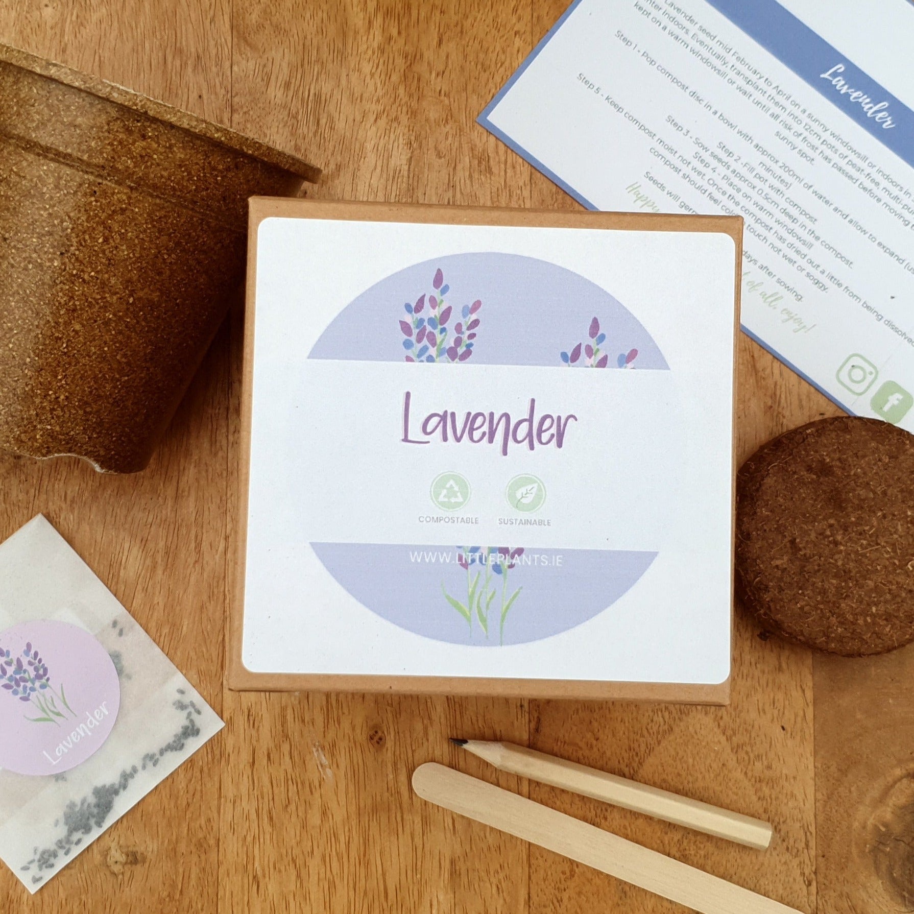 Lavender - Lavandula Angustifolia seed kit Plastic Free