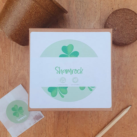 Grow your own Shamrock Seed Kit - Plastic Free Seed Kit