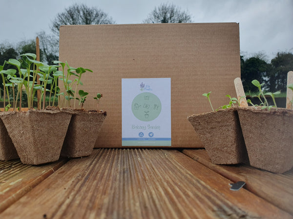 The Balcony Food Collection - Seed Kit Plastic Free