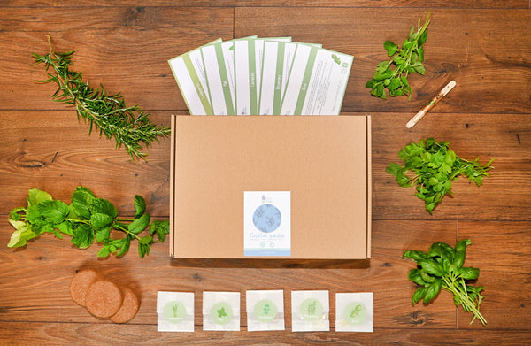 The Cocktail Garden Collection - Plastic Free Seed Kit (Gift option available)