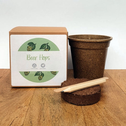 Grow your own Beer Hops!! Plastic Free Seed Kit!