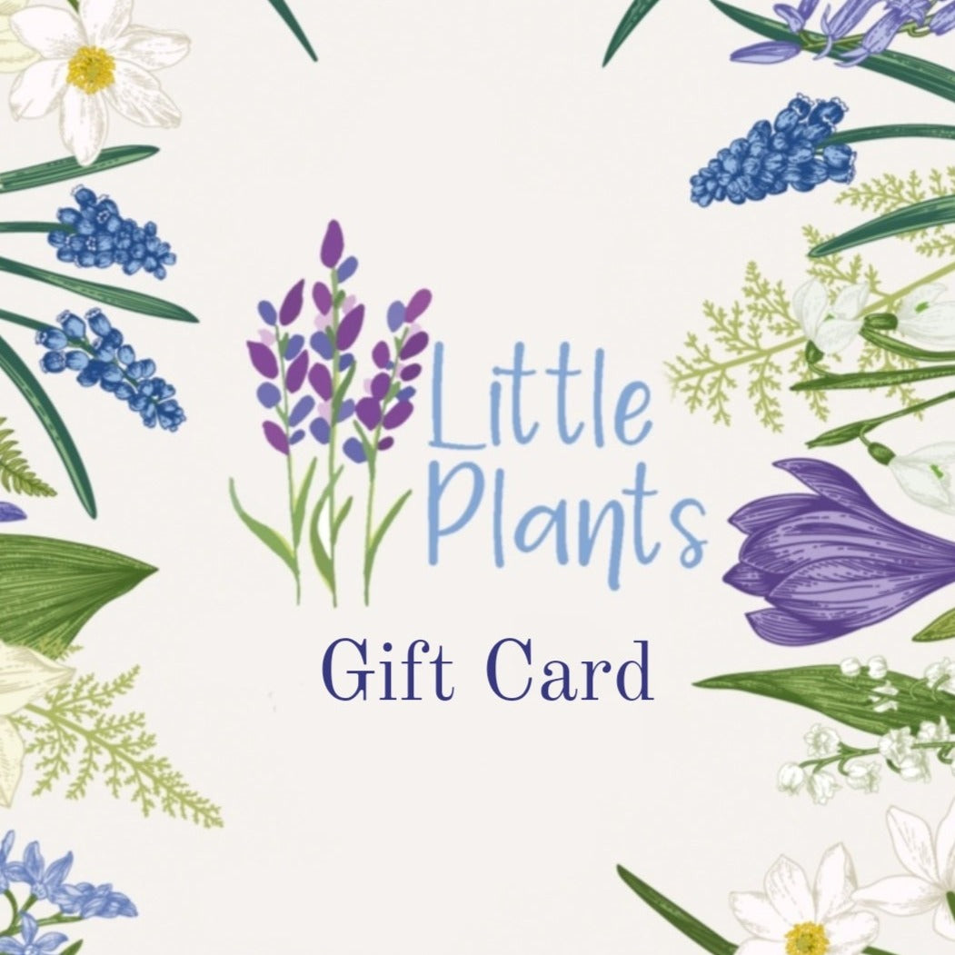 Littleplants Gift Card