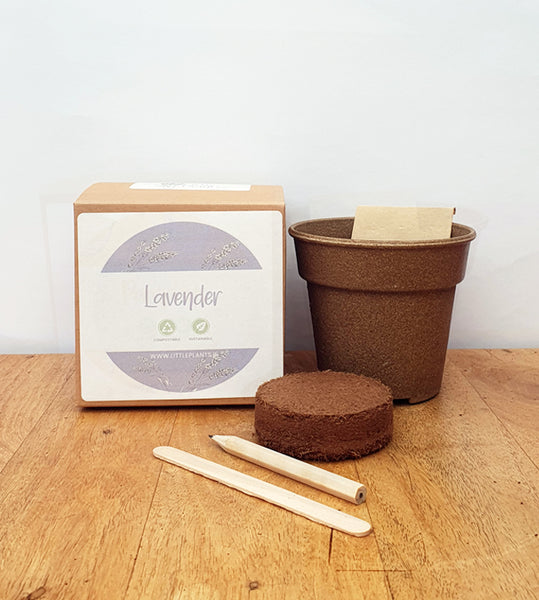 Lavender Gift Pack - Lavender Growing Kit & Handmade Lavender Soap