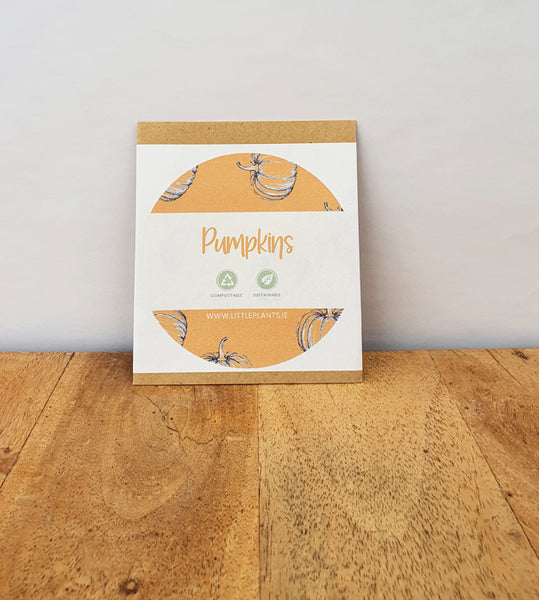 Pumpkin - Baby Bear seeds Plastic Free